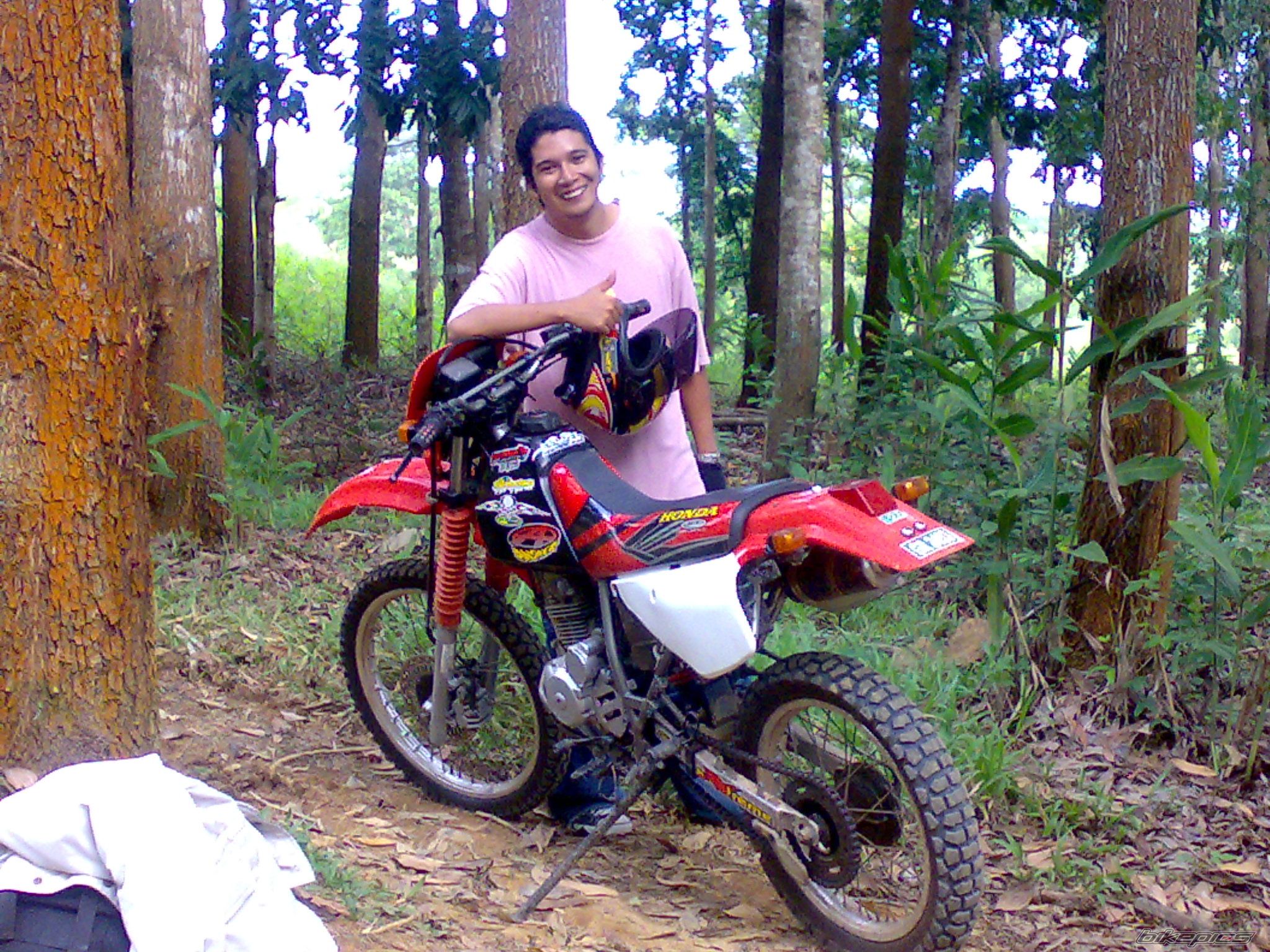2007 HONDA XR 200 | Picture 973862 motorcycle photo