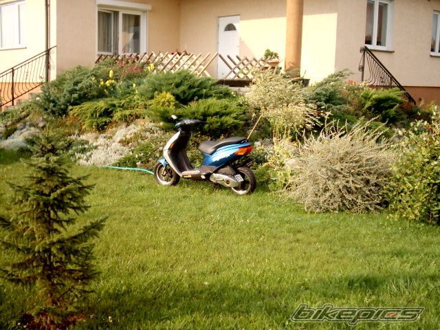 2002 DERBI ATLANTIS | Picture 974316 motorcycle photo