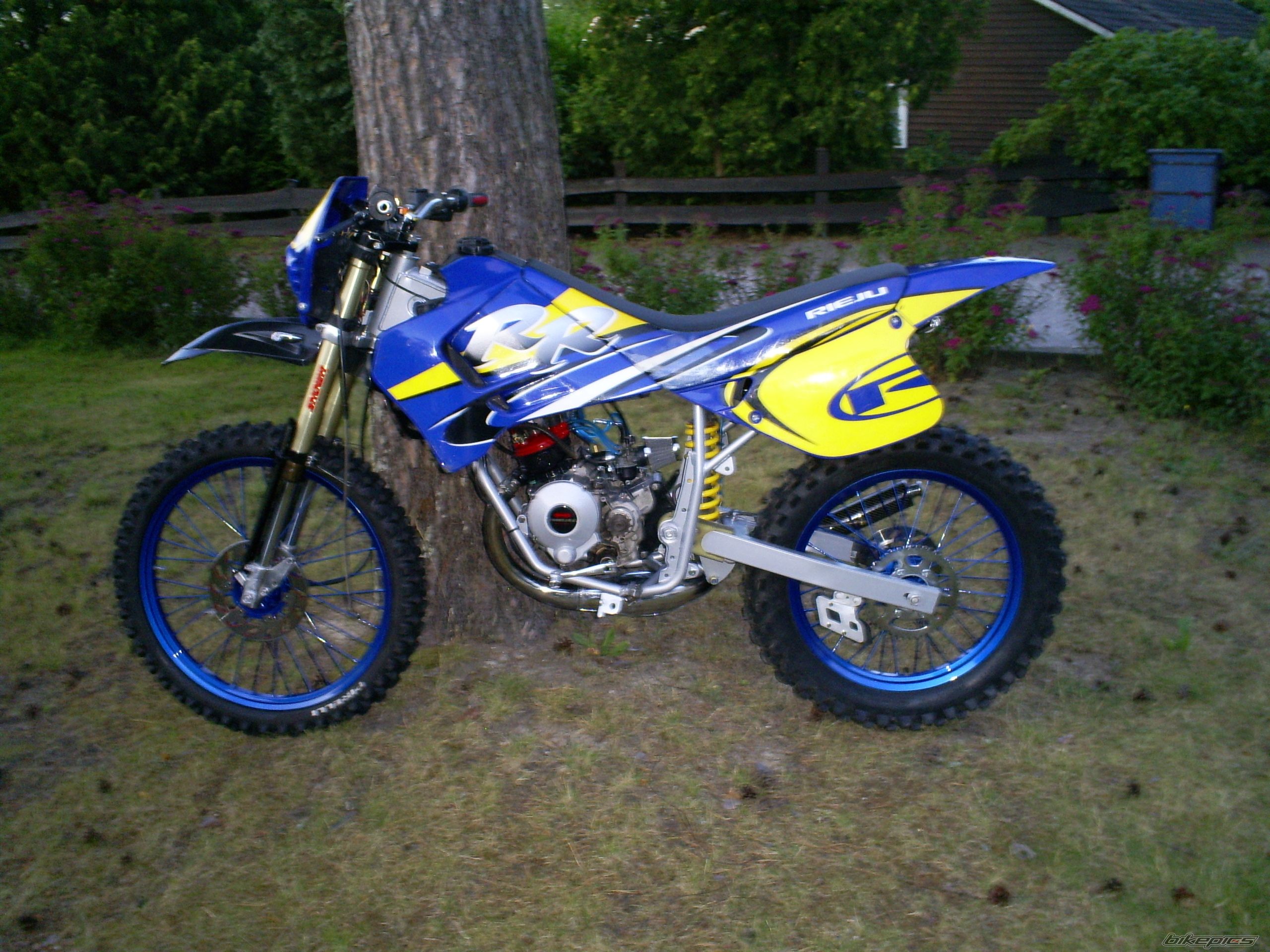 2001 RIEJU DRAC | Picture 974493 motorcycle photo