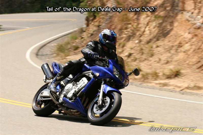 2001 YAMAHA FZ 1 | Picture 974534 motorcycle photo