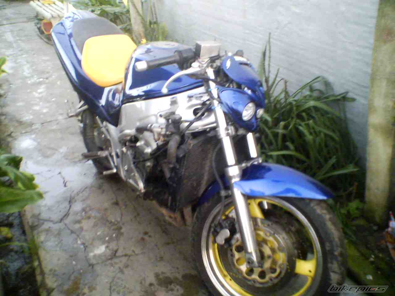 2007 SUZUKI RF 600 | Picture 974616 motorcycle photo