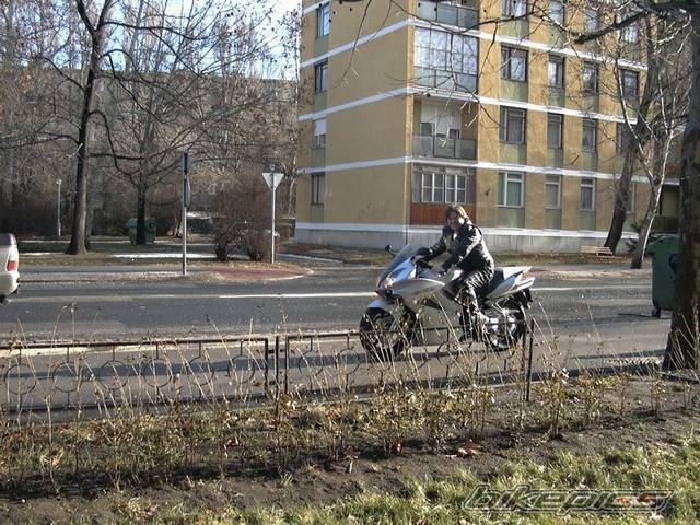 2003 HONDA VFR 800 | Picture 97466 motorcycle photo