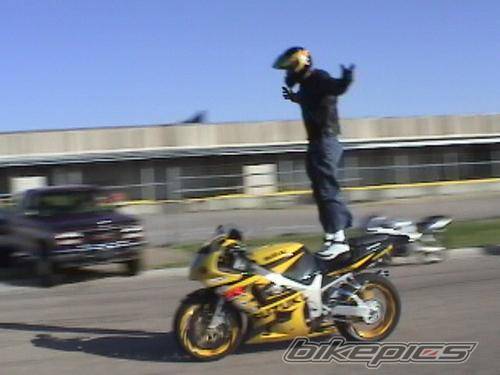 2002 SUZUKI GSX R 1000 | Picture 97472 motorcycle photo