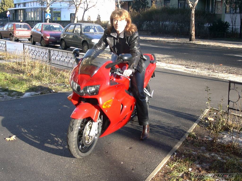 2003 HONDA VFR 800 | Picture 97508 motorcycle photo