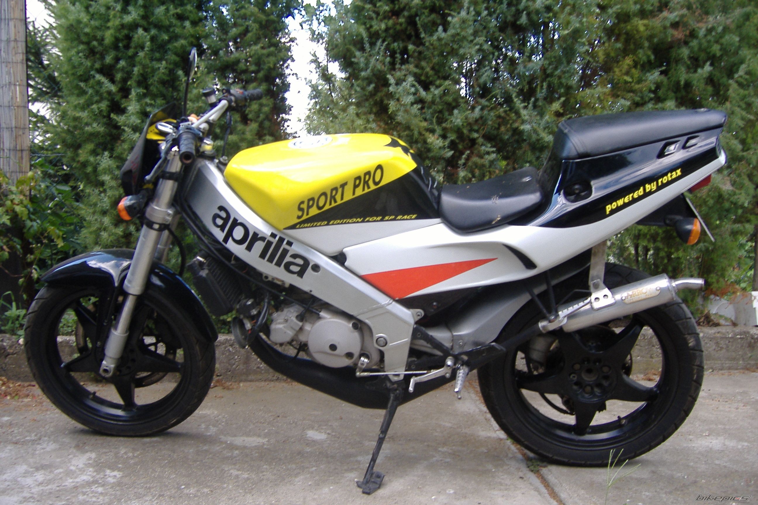 1995 APRILIA AF1 SPORT PRO 125 | Picture 975430 motorcycle photo