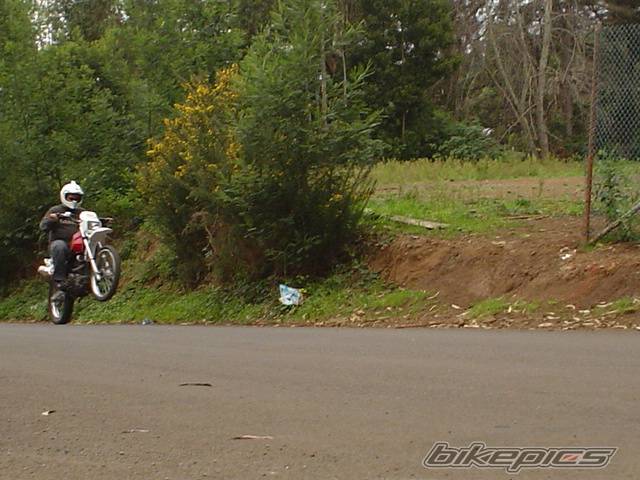 2002 SUZUKI DR 125 | Picture 97551 motorcycle photo