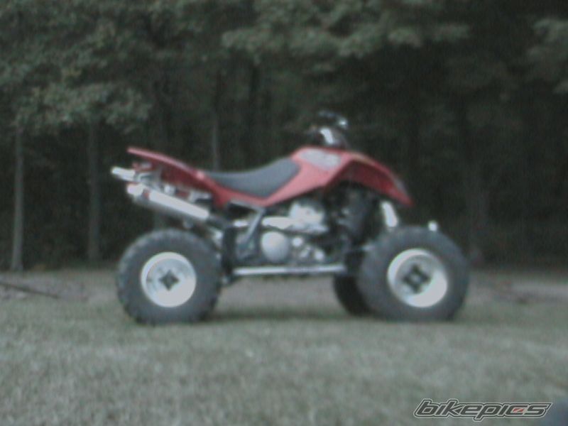 2007 ARCTIC CAT DVX 400 | Picture 976554 motorcycle photo