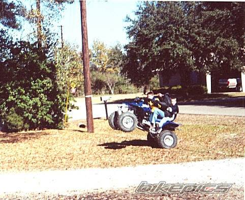 2001 YAMAHA YZ 80 | Picture 9768 motorcycle photo