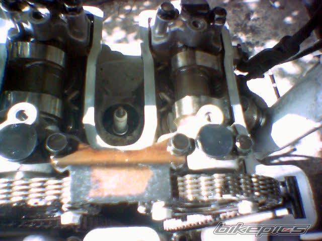 1995 YAMAHA TTR 350 | Picture 977896 motorcycle photo
