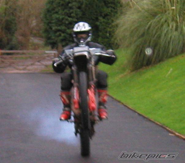 1990 KAWASAKI KMX 200 | Picture 97854 motorcycle photo