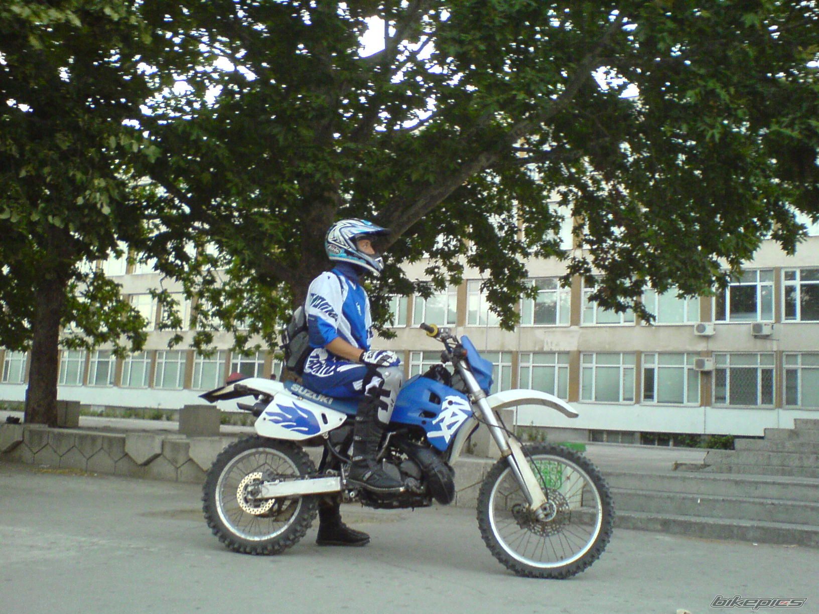1995 SUZUKI RMX 250 | Picture 978831 motorcycle photo