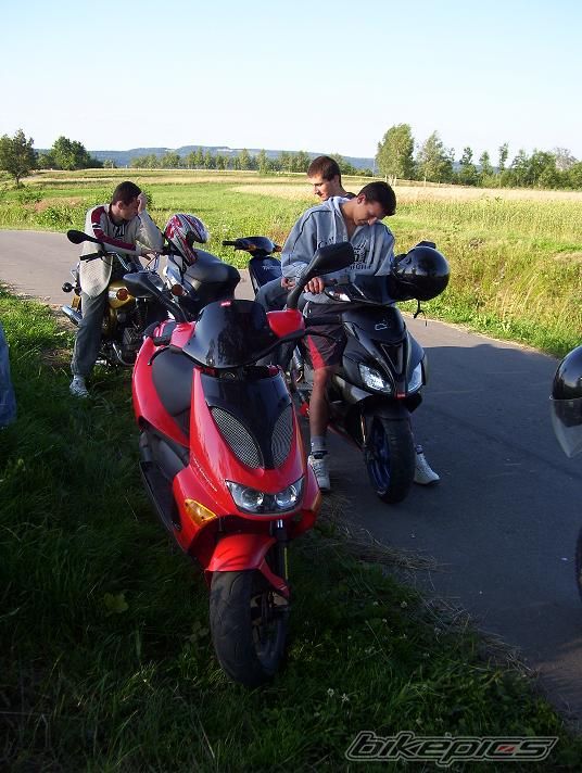 2001 APRILIA SR WWW 50 | Picture 978989 motorcycle photo