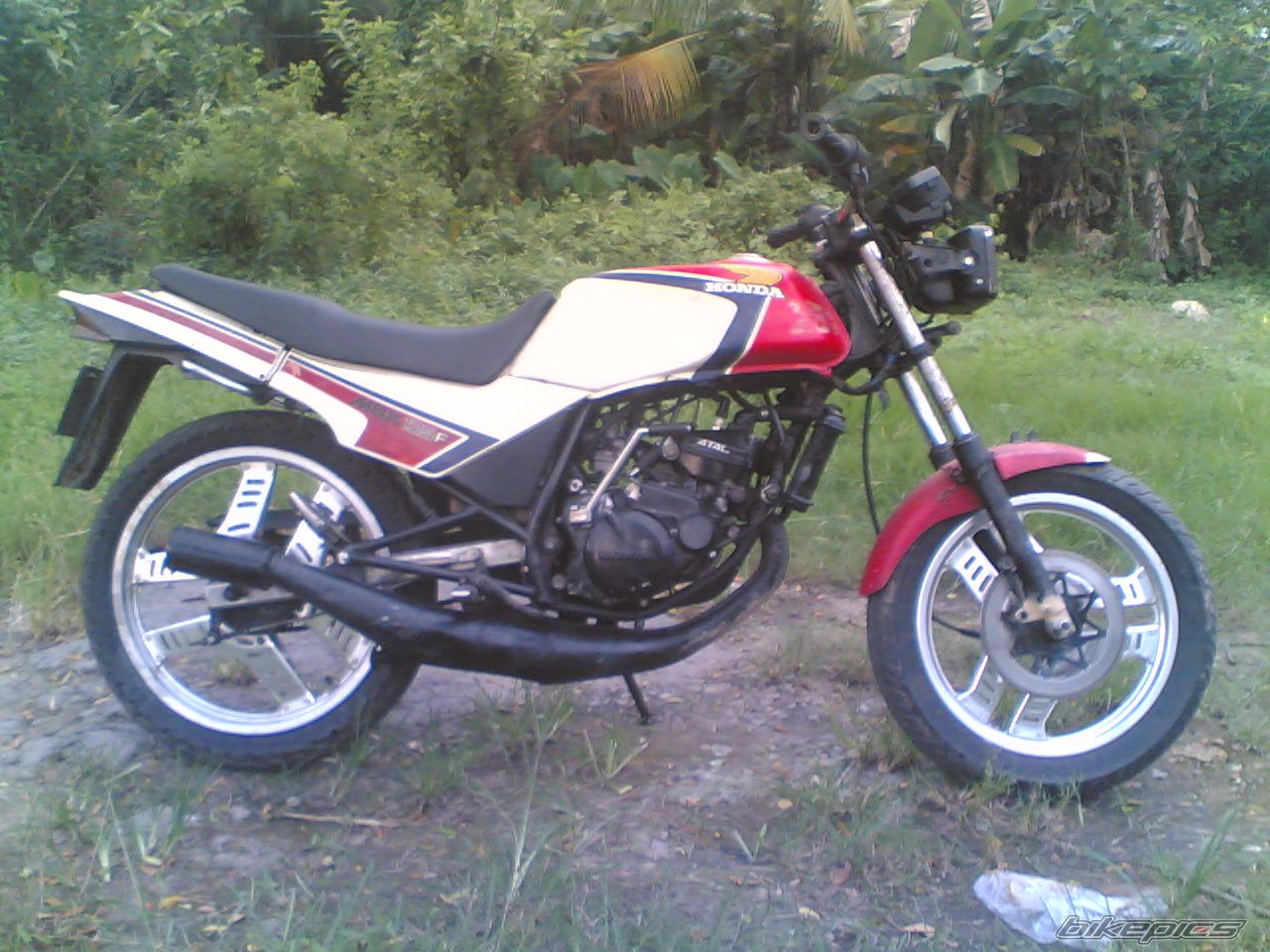 2007 HONDA MBX 125 F | Picture 979332 motorcycle photo
