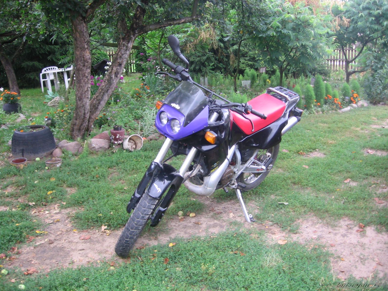 2006 APRILIA PEGASO 125 | Picture 979848 motorcycle photo