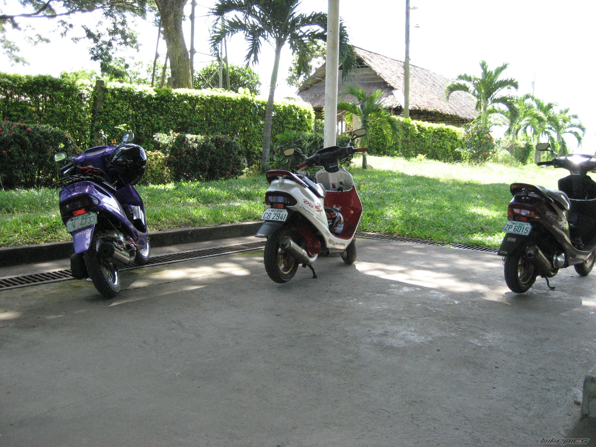 1996 HONDA DIO AF 28 | Picture 980211 motorcycle photo