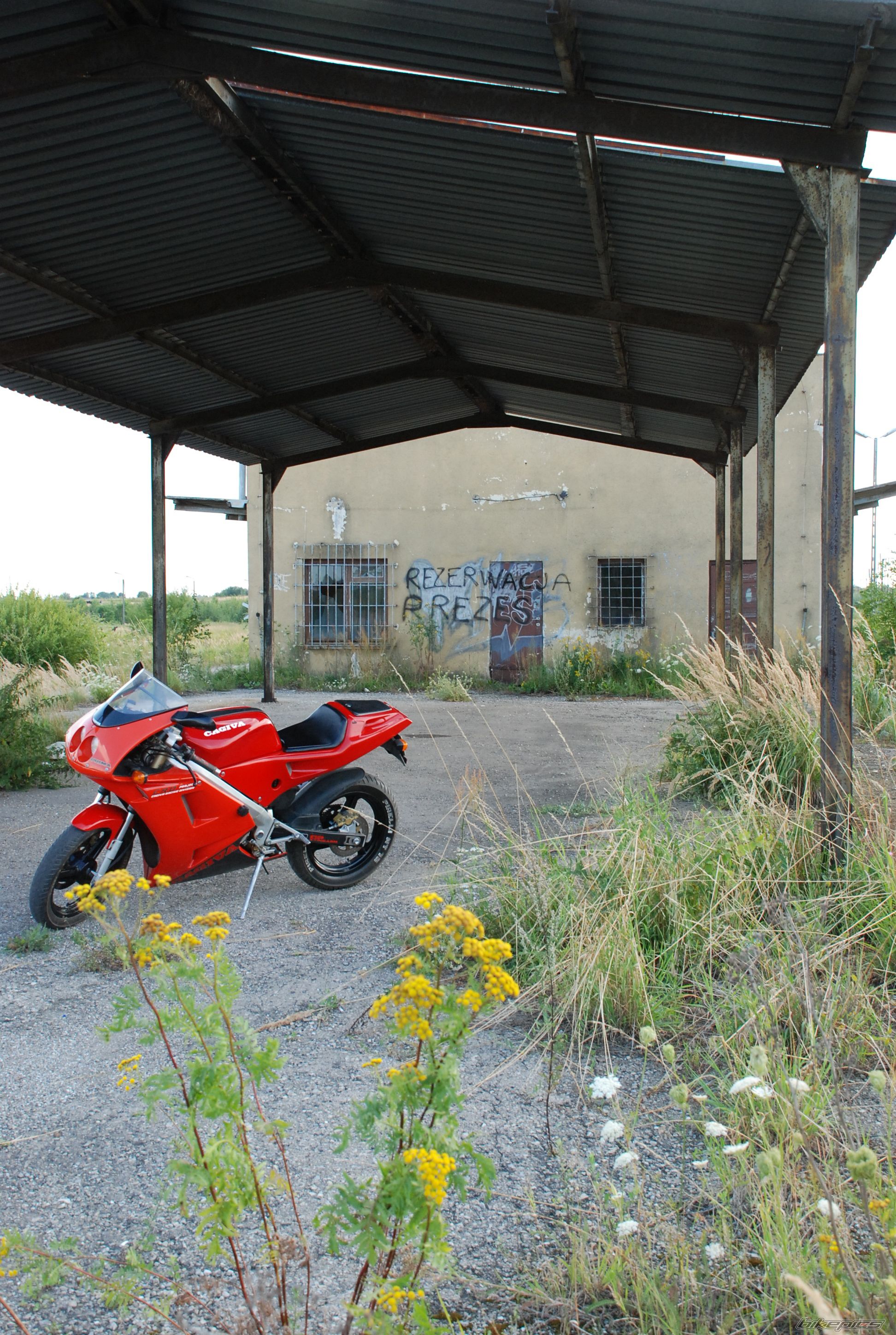 1995 CAGIVA PRIMA 50 | Picture 980686 motorcycle photo