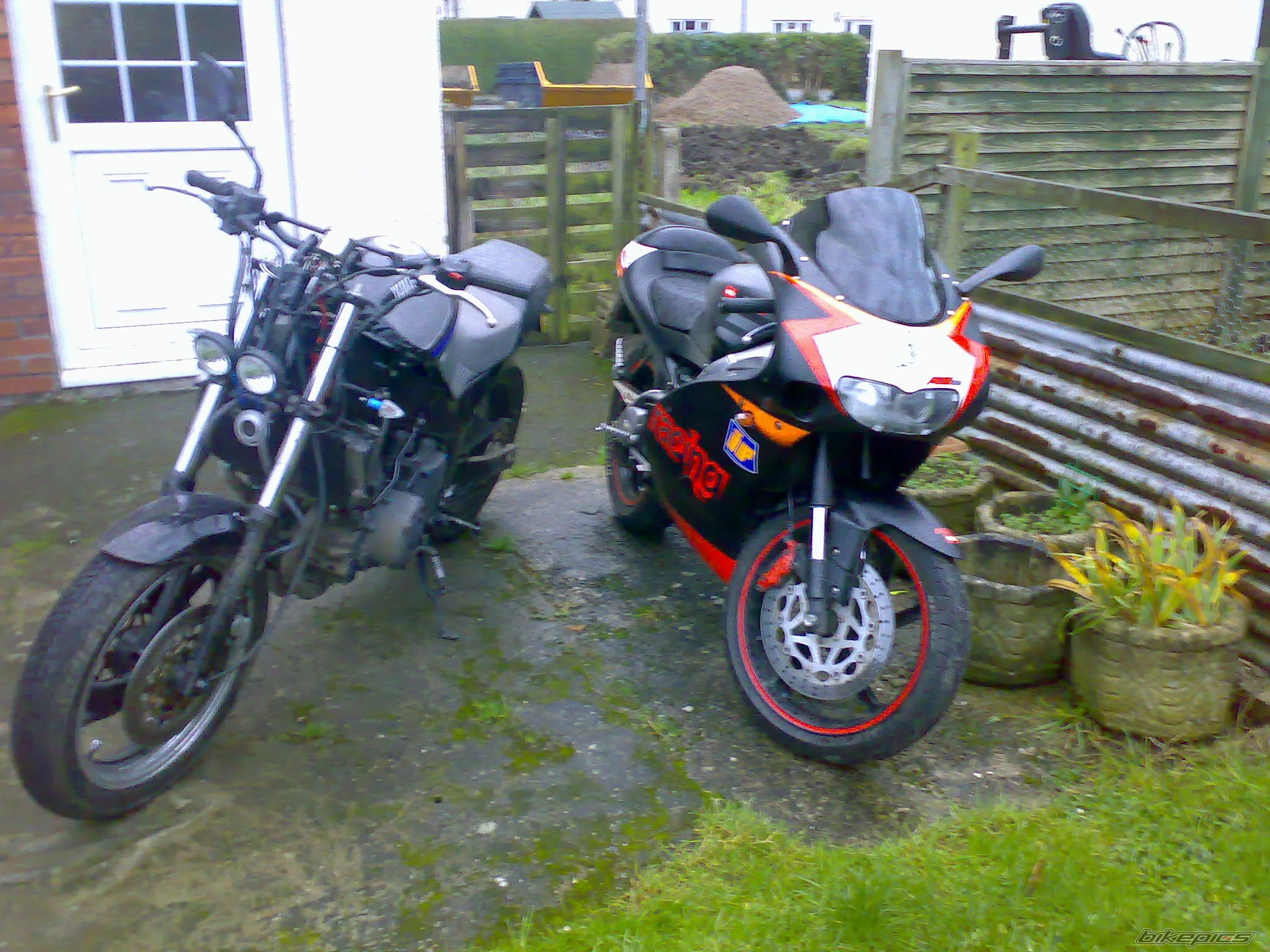 1992 YAMAHA TDM 850 | Picture 980720 motorcycle photo