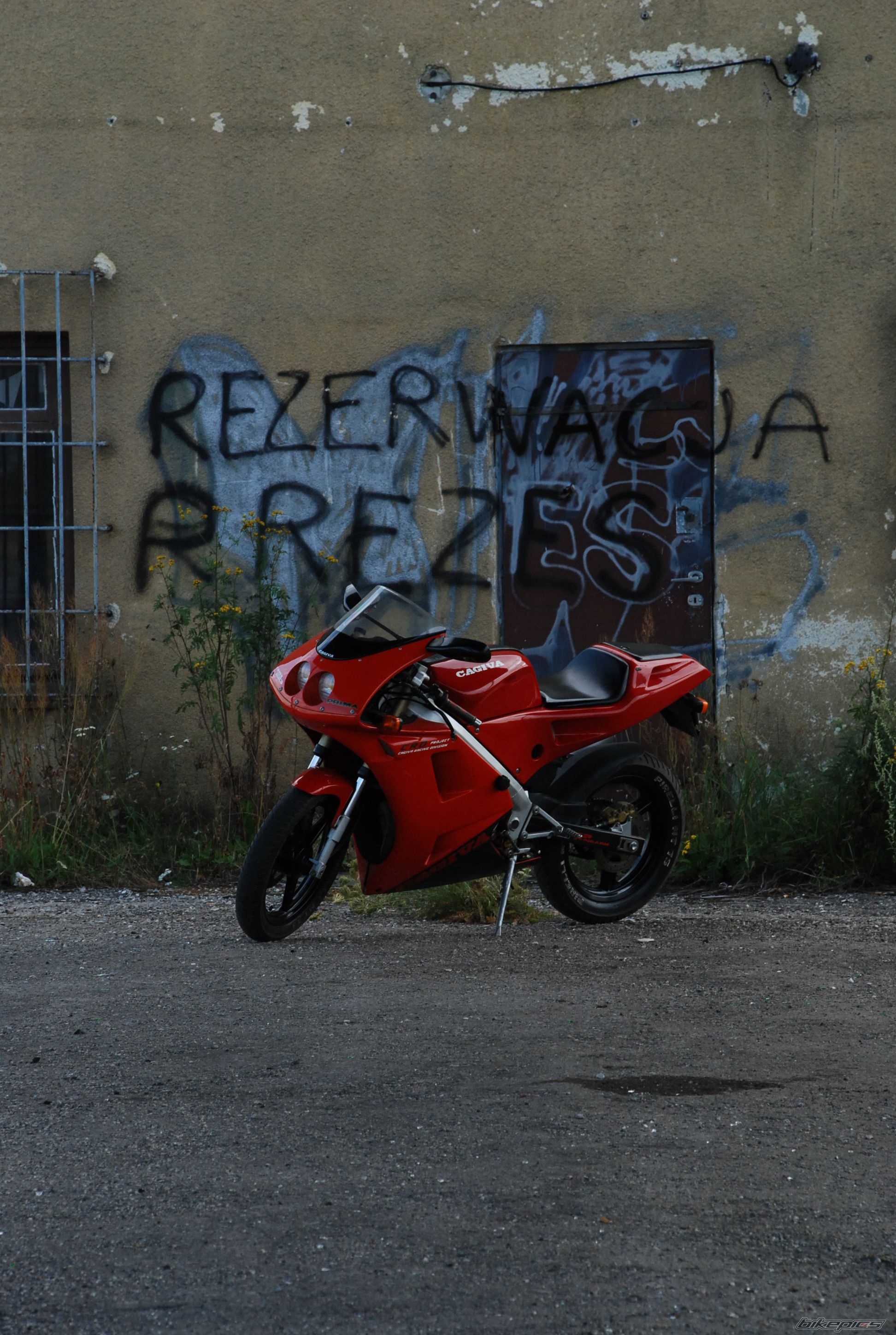 1995 CAGIVA PRIMA 50 | Picture 980779 motorcycle photo