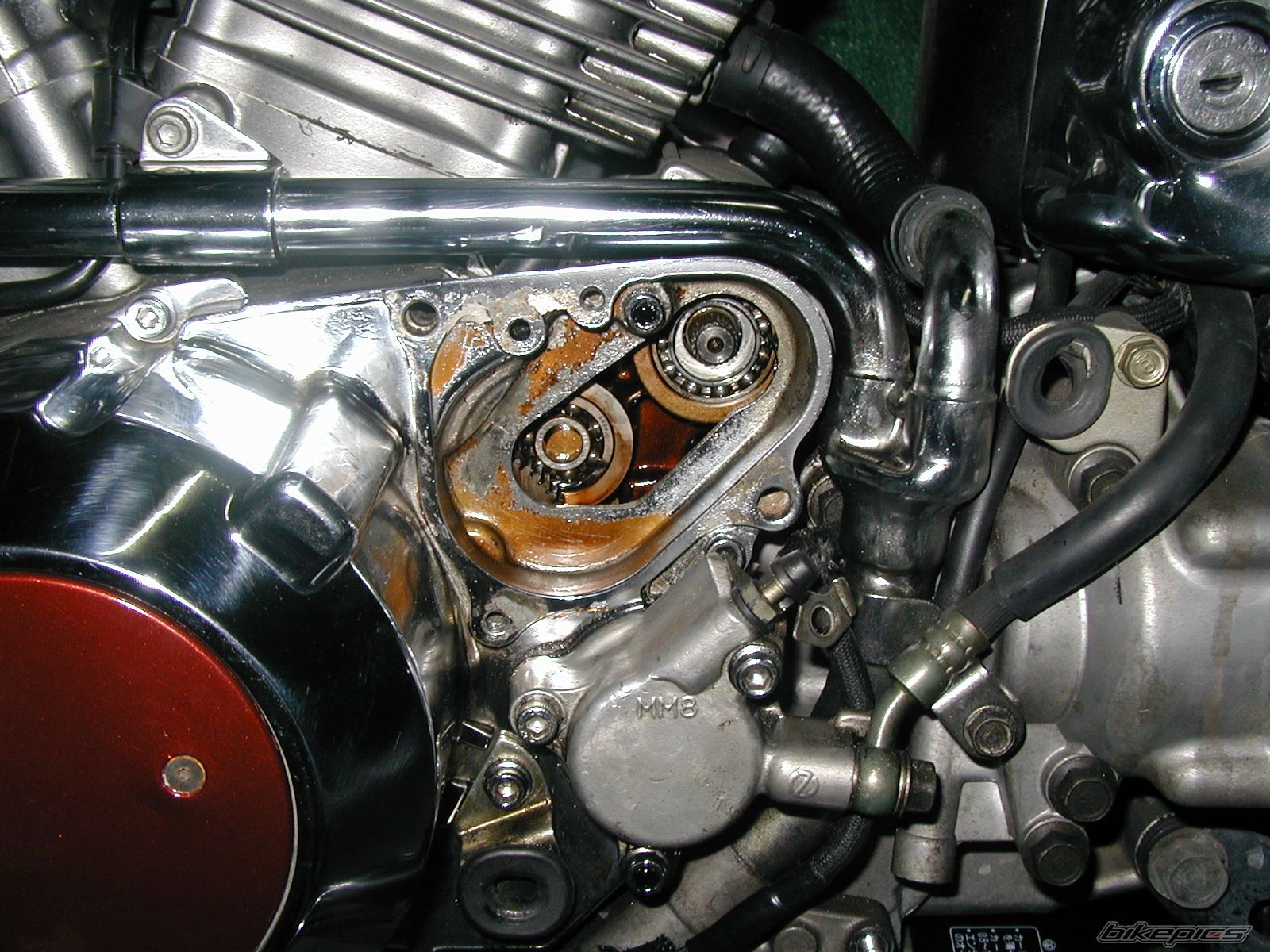   | Picture 980780 motorcycle photo