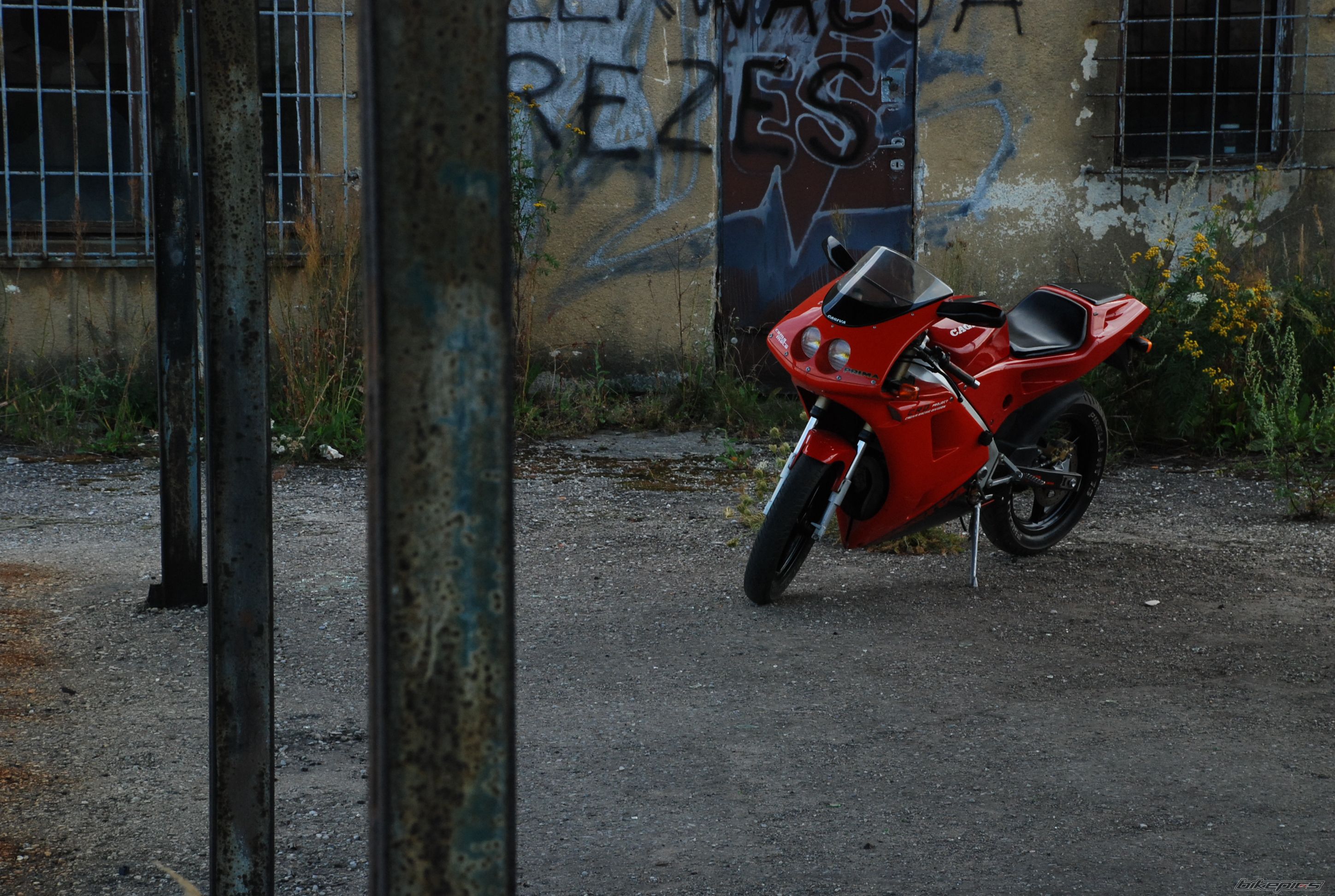1995 CAGIVA PRIMA 50 | Picture 980795 motorcycle photo