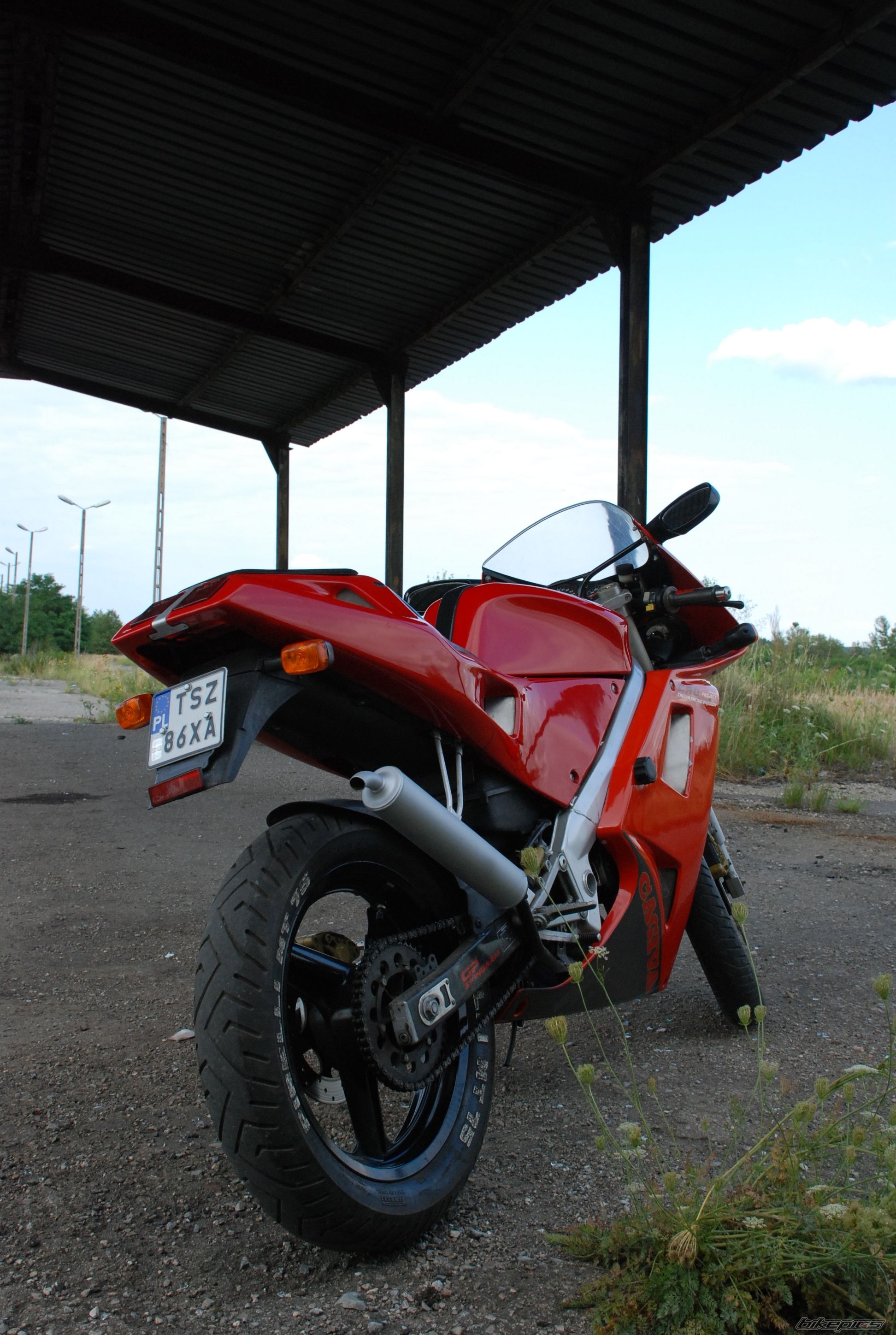 1995 CAGIVA PRIMA 50 | Picture 980801 motorcycle photo