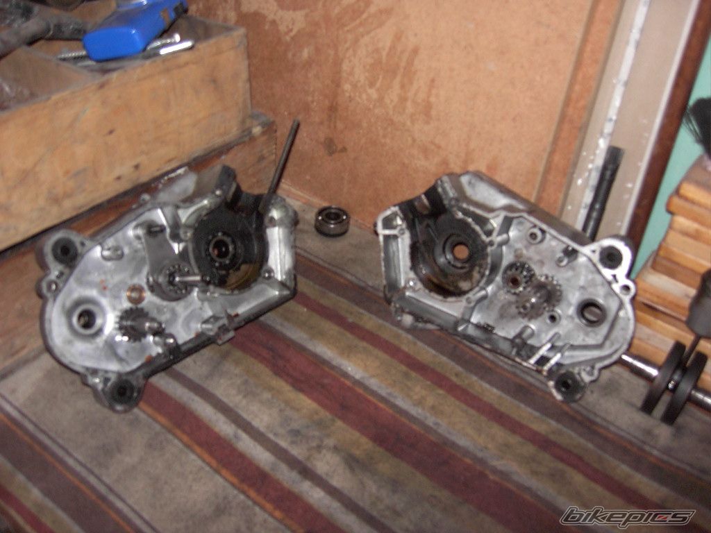 1985 ROMET PONY 50 M 3 | Picture 980885 motorcycle photo