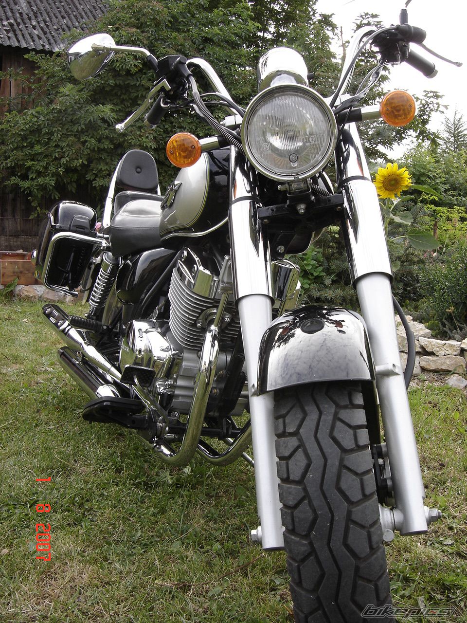 2005 SUZUKI 250R | Picture 981227 motorcycle photo