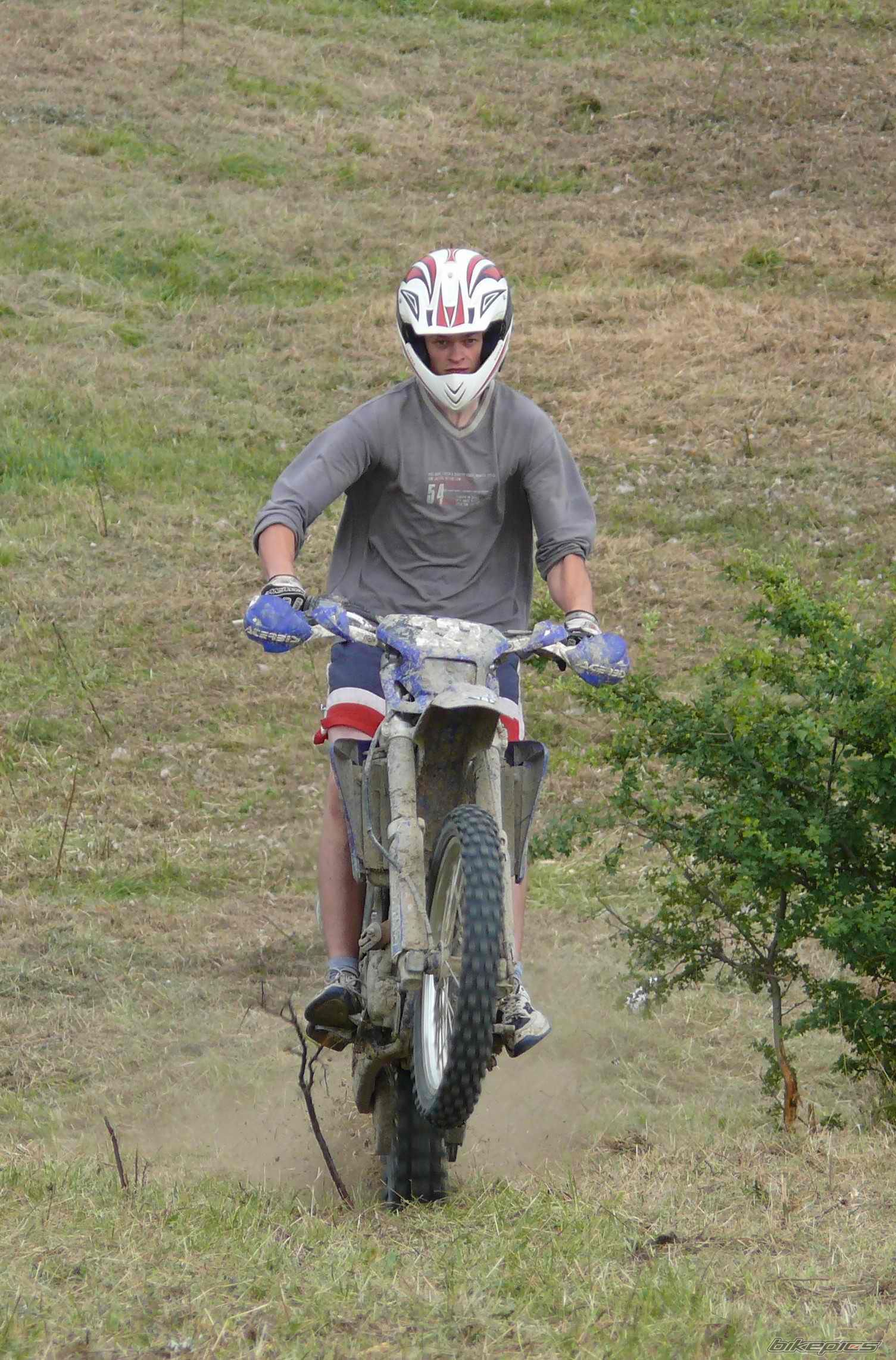    | Picture 981488 motorcycle photo