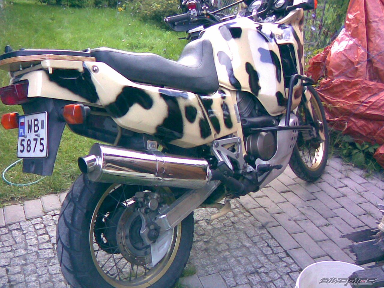 981506 | Picture 981506 motorcycle photo