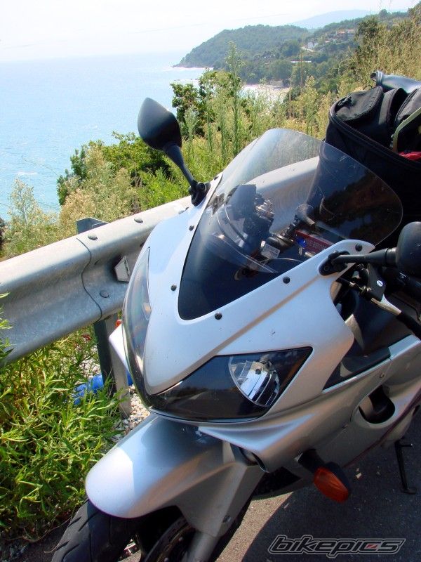 2002 HONDA CBR 600 | Picture 981822 motorcycle photo