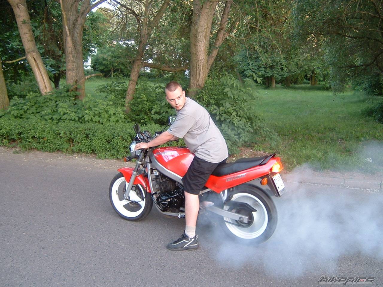 1992 SUZUKI GS 500 | Picture 98237 motorcycle photo