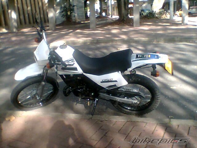 1998 SUZUKI TS 125 | Picture 982414 motorcycle photo