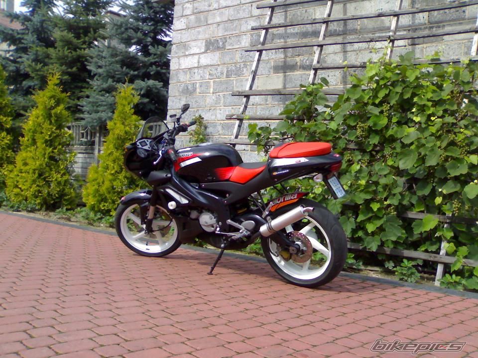 2004 APRILIA TUONO 125 | Picture 982824 motorcycle photo