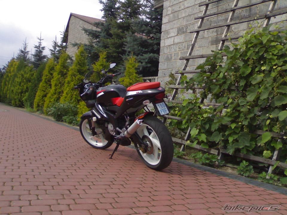 2004 APRILIA TUONO 125 | Picture 982826 motorcycle photo