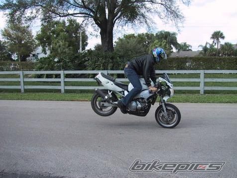    | Picture 984137 motorcycle photo