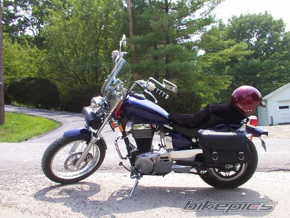 2007 SUZUKI SAVAGE | Picture 984841 motorcycle photo