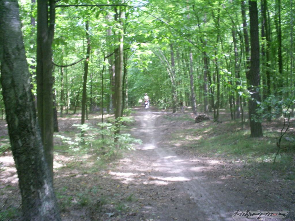 2005 YAMAHA DT 125 | Picture 985875 motorcycle photo