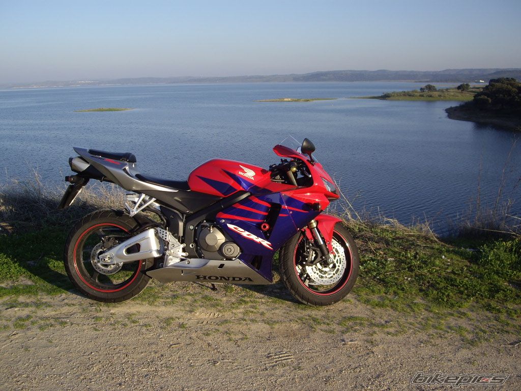 2005 HONDA CBR 600 RR | Picture 986234 motorcycle photo