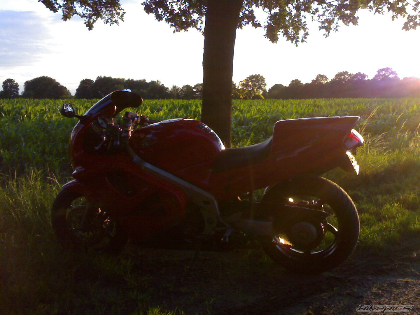 1997 HONDA VFR 750 | Picture 986462 motorcycle photo