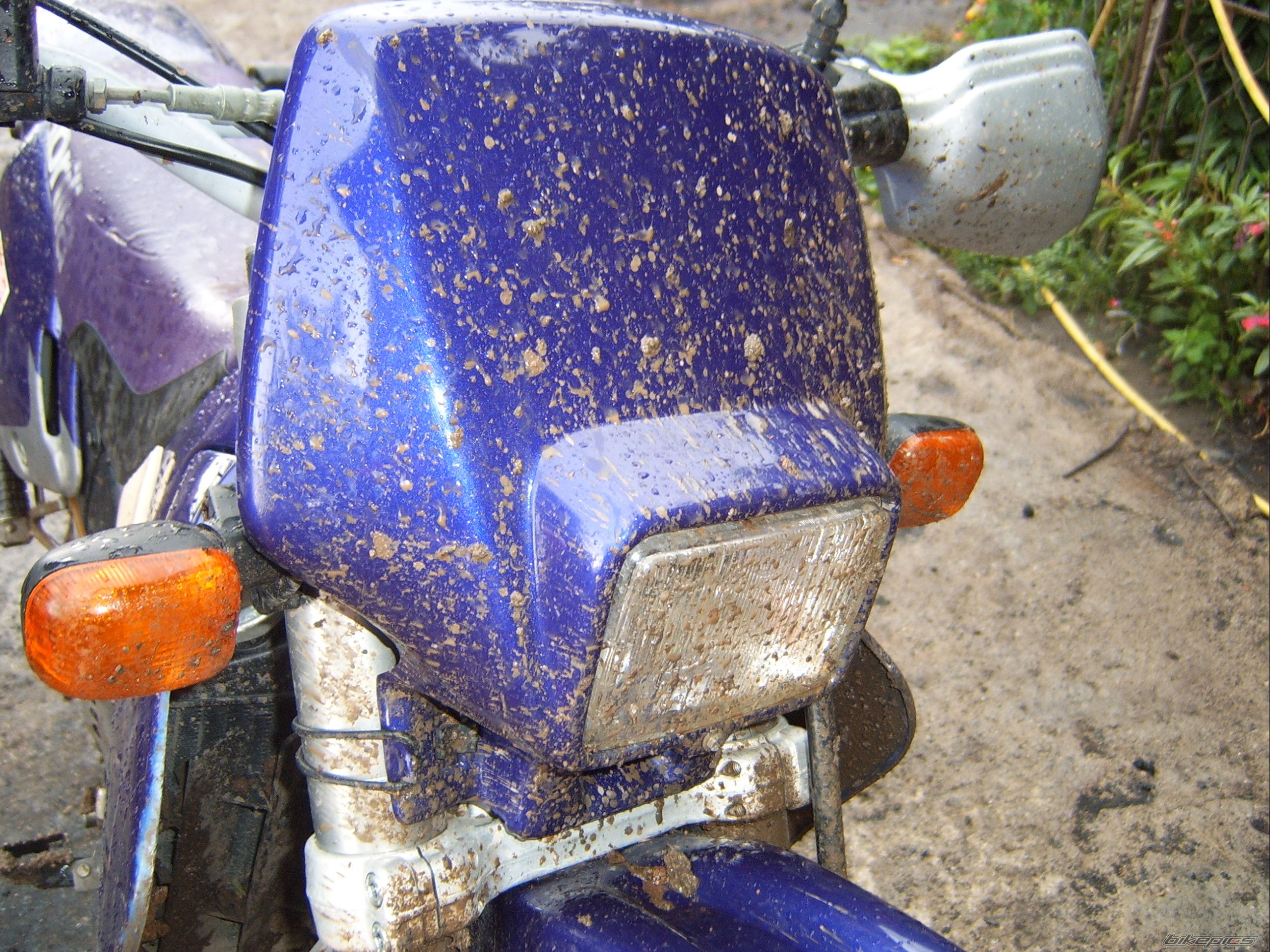 1996 APRILIA RX 125 | Picture 986639 motorcycle photo