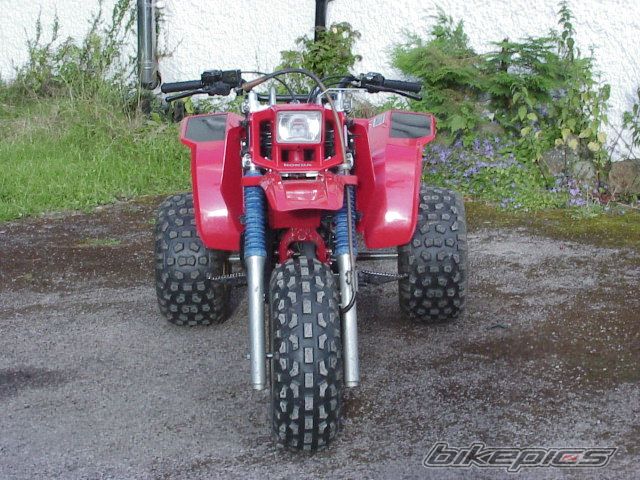 1985 HONDA ATC 250 | Picture 986667 motorcycle photo