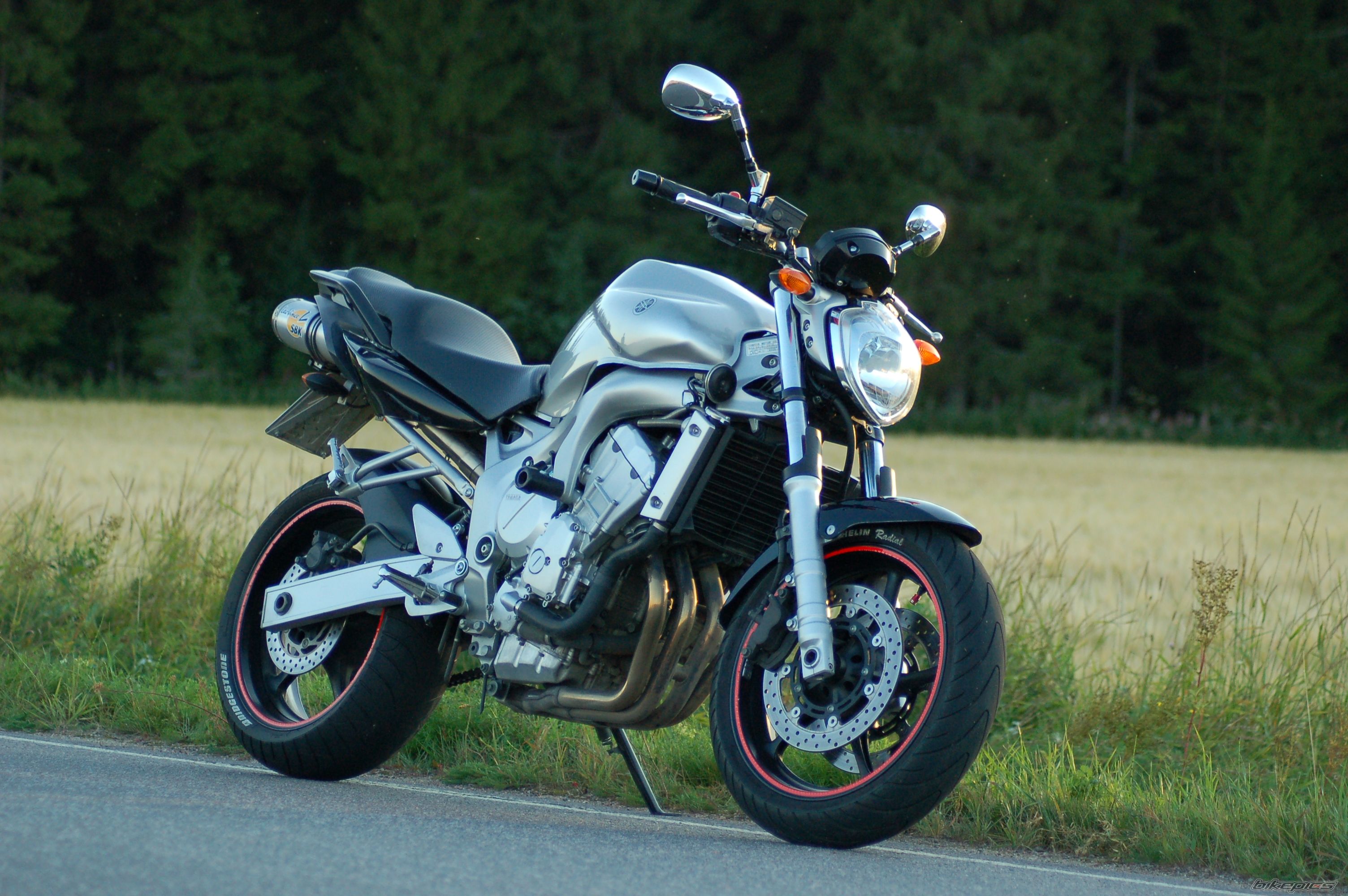 2004 YAMAHA FZ6N | Picture 986761 motorcycle photo