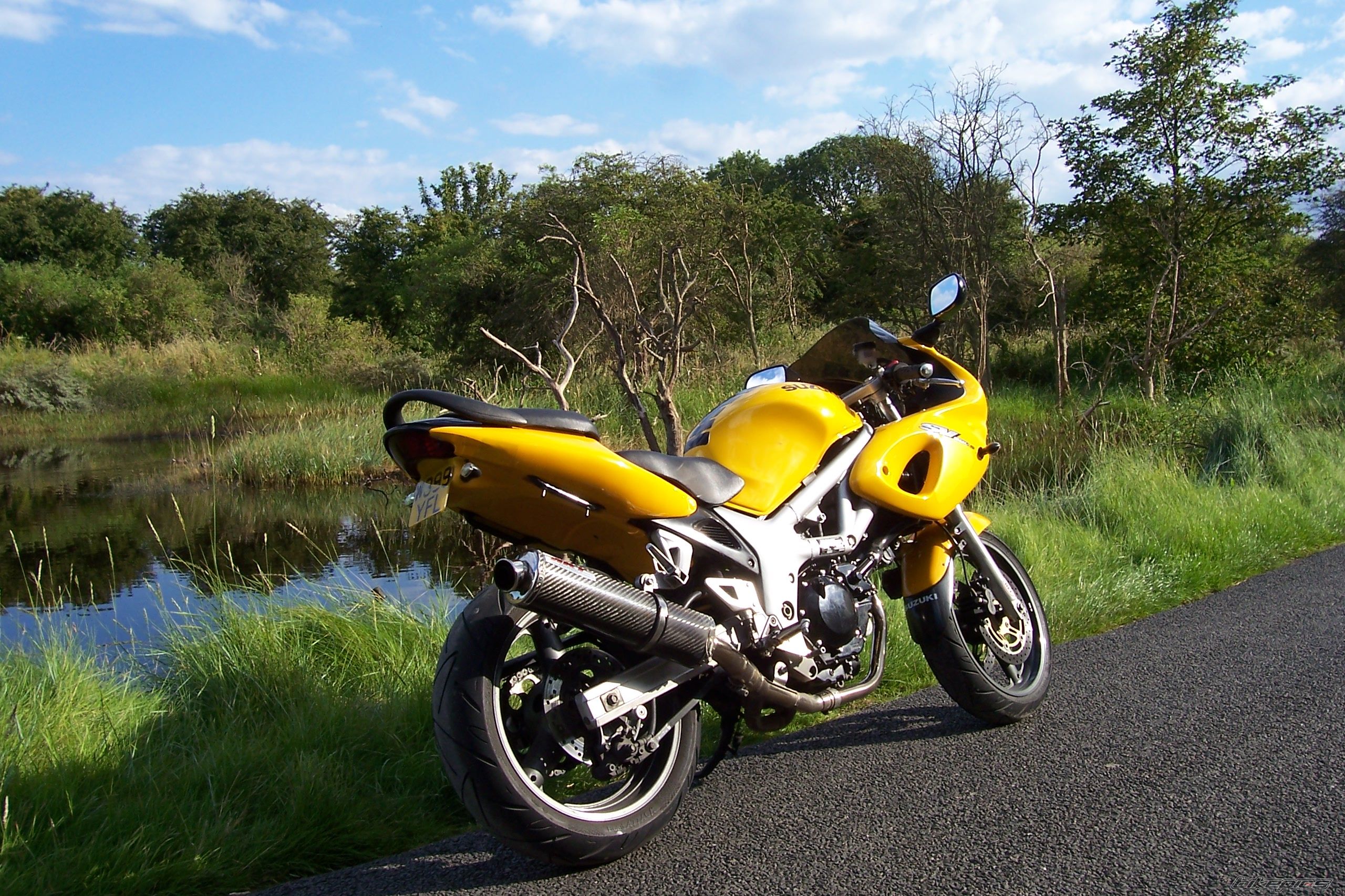 2000 SUZUKI SV 650S | Picture 987165 motorcycle photo