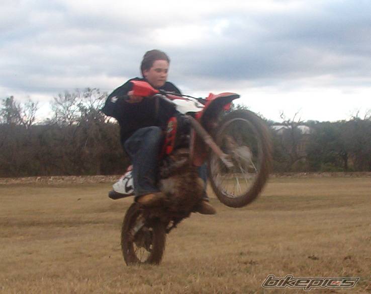 2001 HONDA XR 100 | Picture 98745 motorcycle photo
