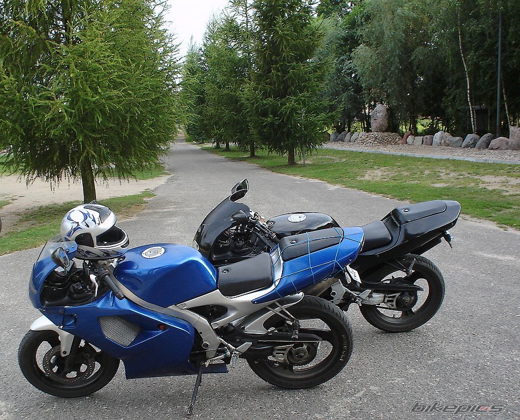 1998 APRILIA RS 125 | Picture 987598 motorcycle photo