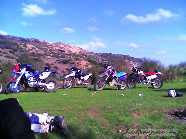 1996 HONDA NX 650 DOMINATOR | Picture 987606 motorcycle photo