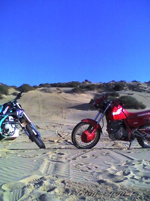 1996 HONDA NX 650 DOMINATOR | Picture 987609 motorcycle photo