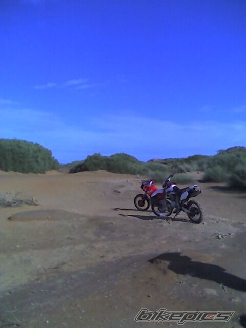 1996 HONDA NX 650 DOMINATOR | Picture 987621 motorcycle photo