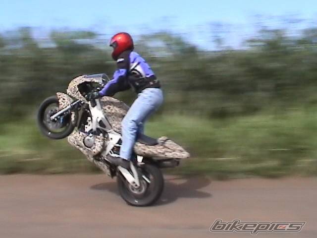 2002 YAMAHA YZF R6 | Picture 98779 motorcycle photo