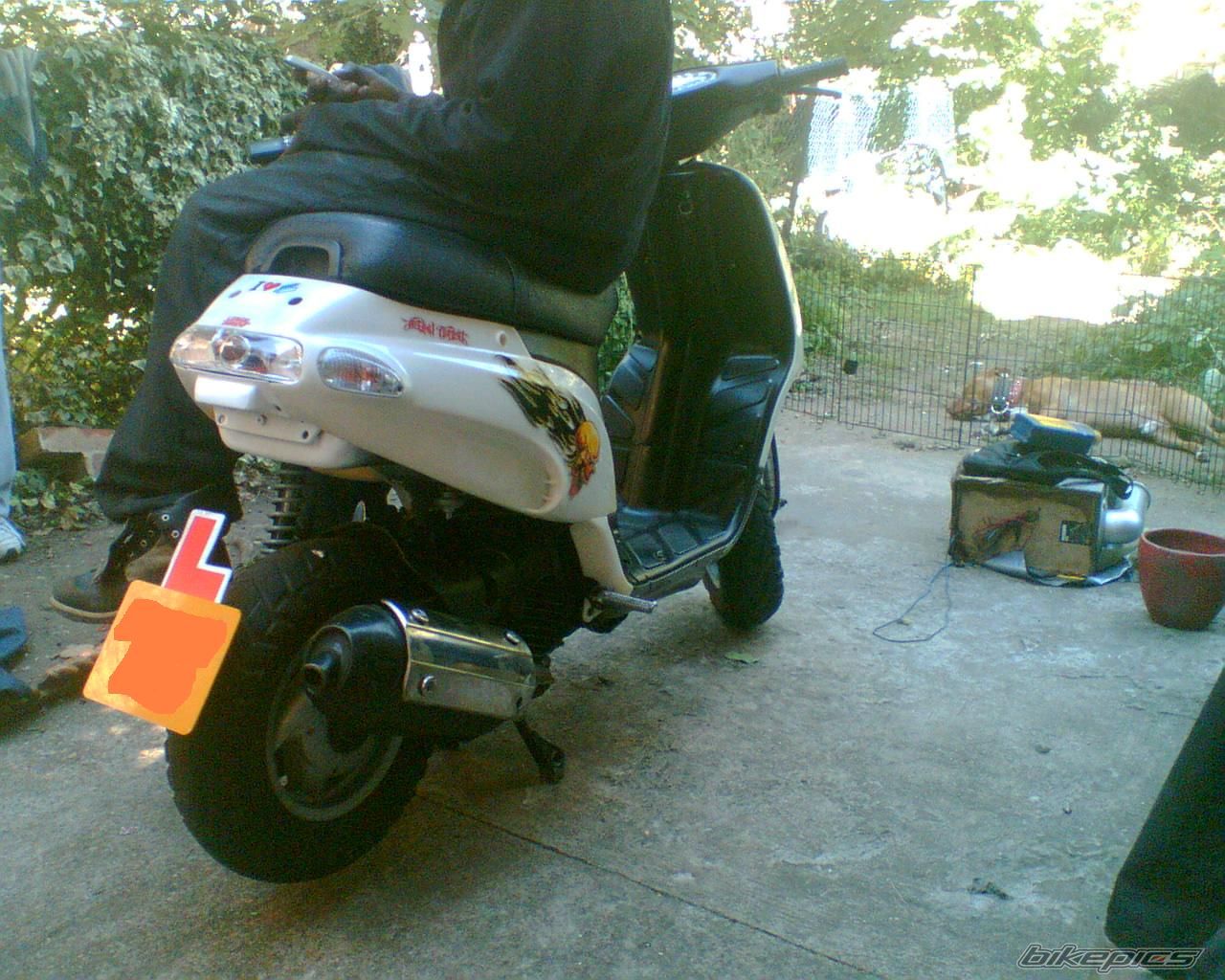 2002 PIAGGIO TPH 125 | Picture 988558 motorcycle photo